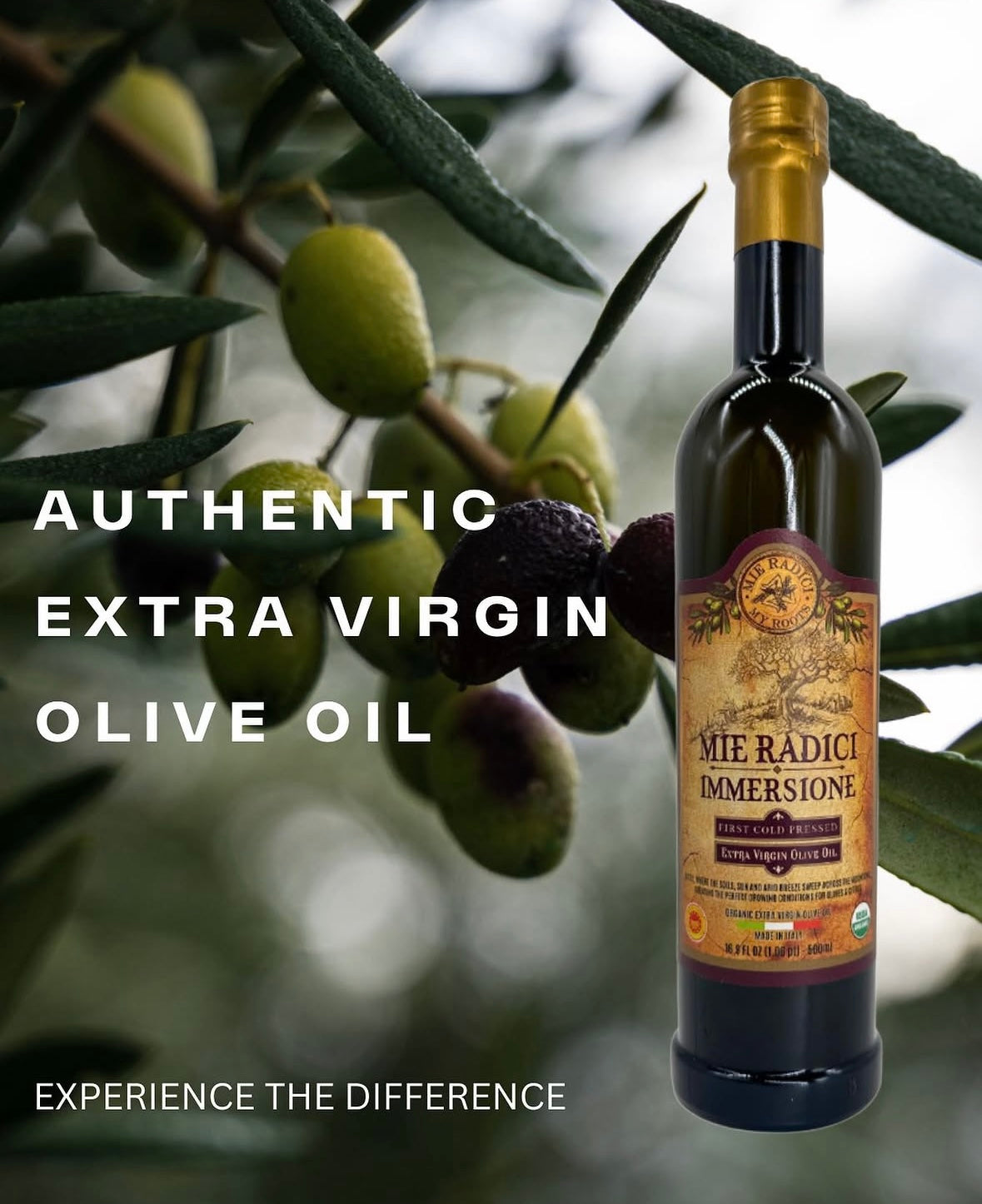 High Polyphenol Mie Radici Organic Extra Virgin Olive Oil Harvested Fall of 2025